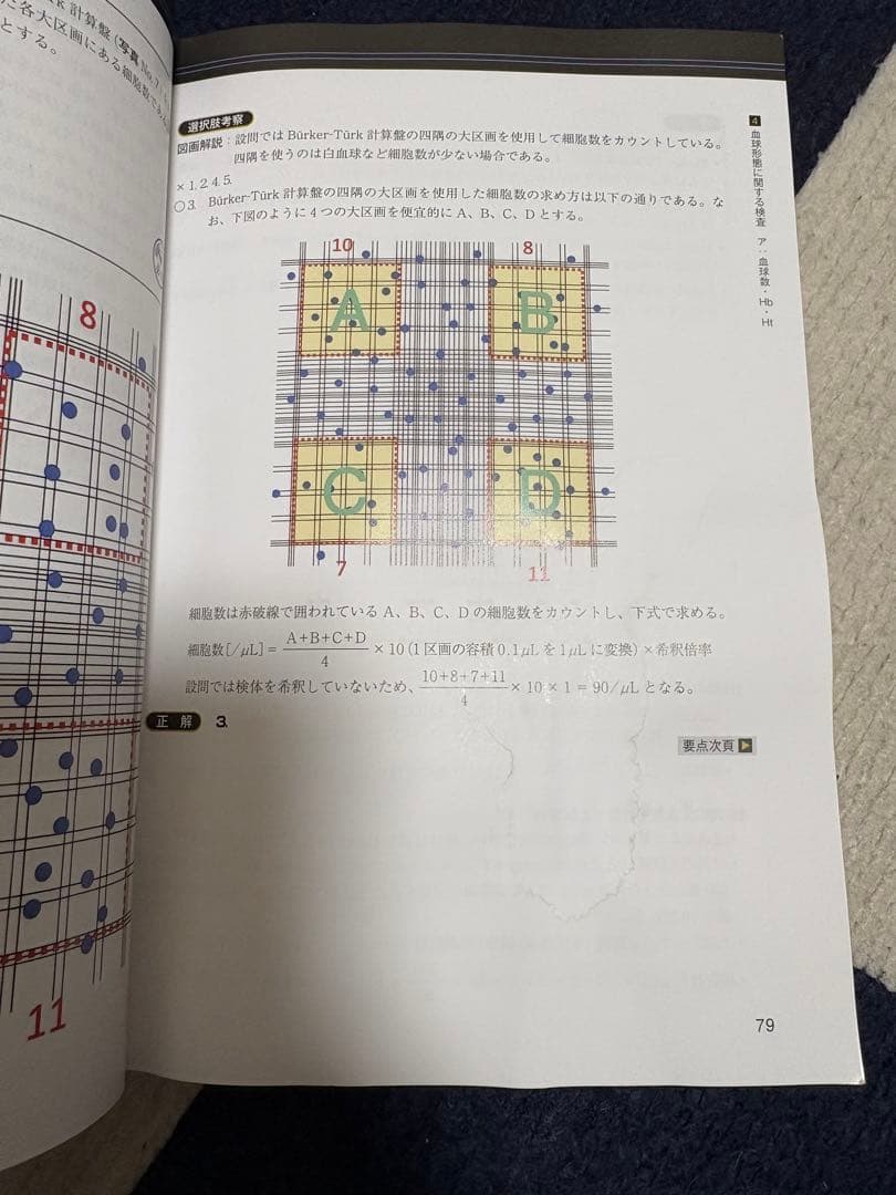 Complete MT 2025 全8巻セット