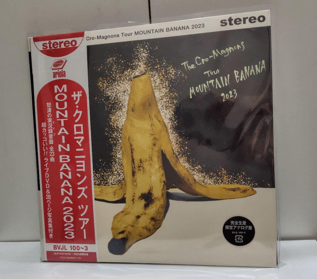 ザ・クロマニヨンズPUNCOUNTAINBANANA