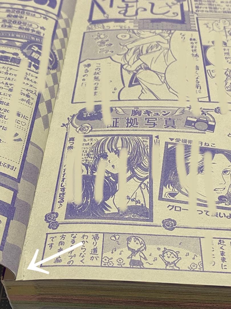 【難あり】花とゆめ2023 20号 10/5 一部切り取り済 ハガキなし