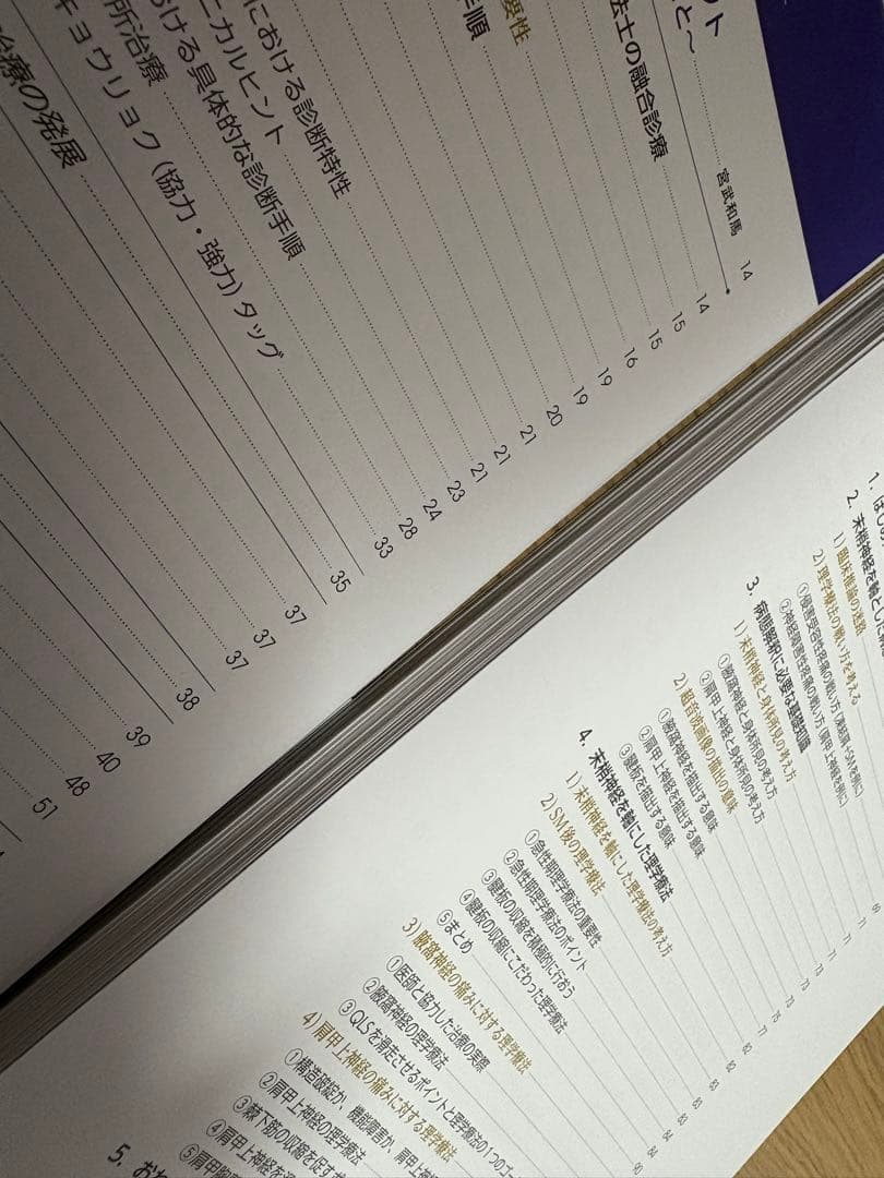 結果の出せる評価と治療　末梢神経とエコーから紐解く痛みの解釈　※裁断済み
