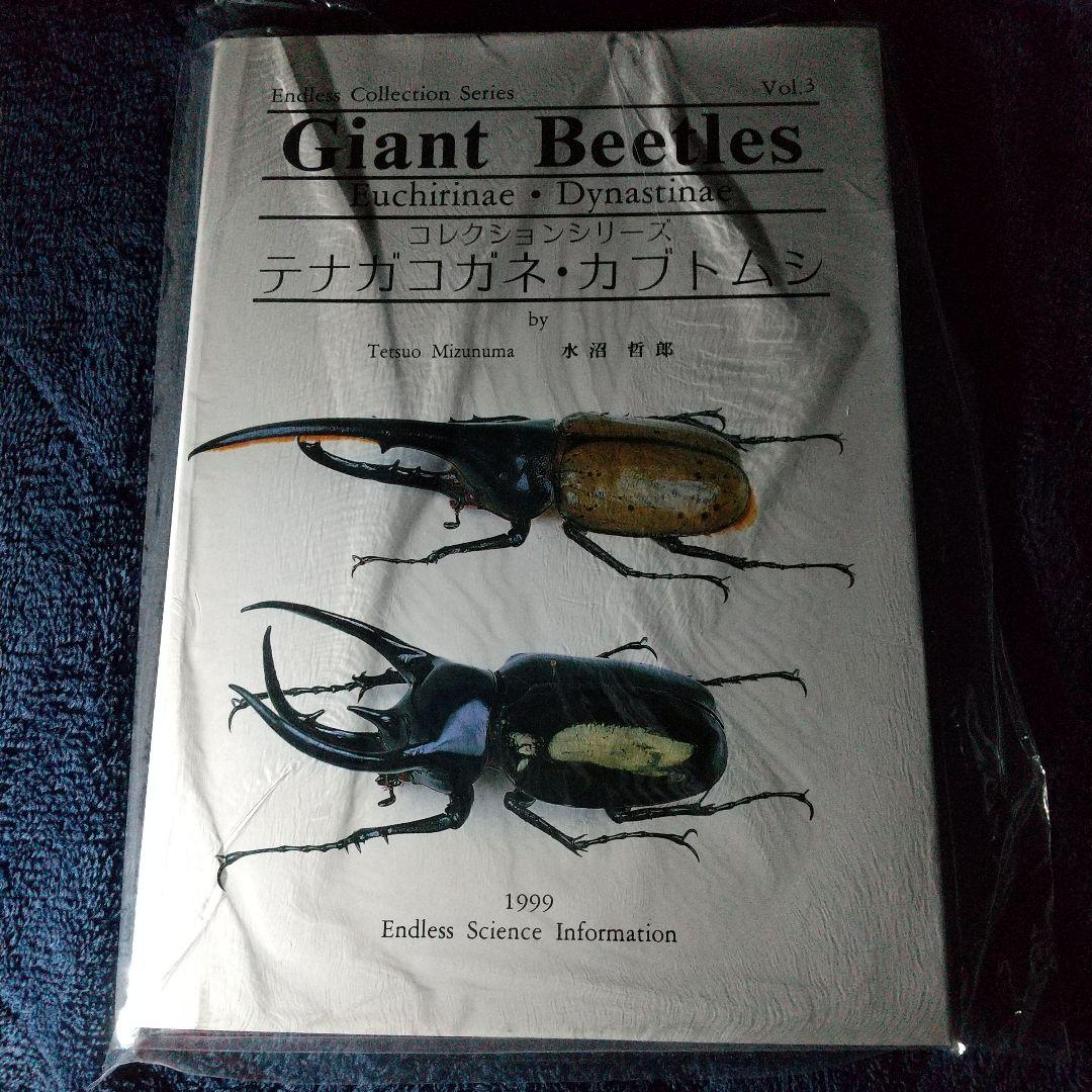 その他 Giant Beetles: Euchirinae - Dynastinae