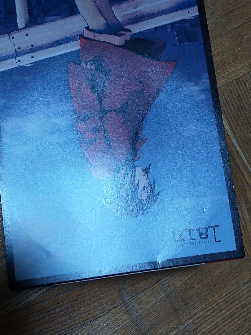 boa DUVET デューベイ lain