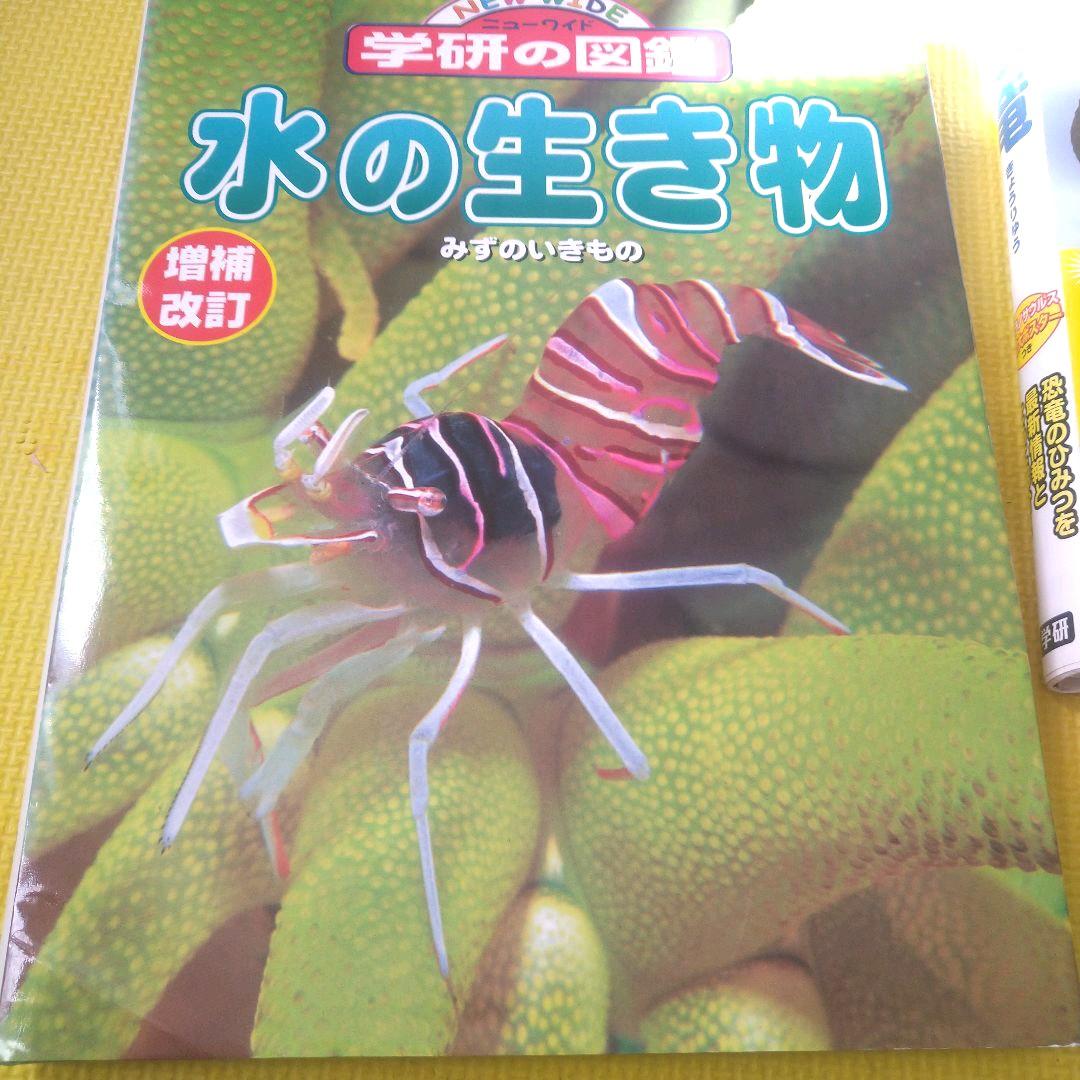 学研 学研の図鑑 恐竜 動物 植物 花 水の生き物 図鑑 ニューワイド