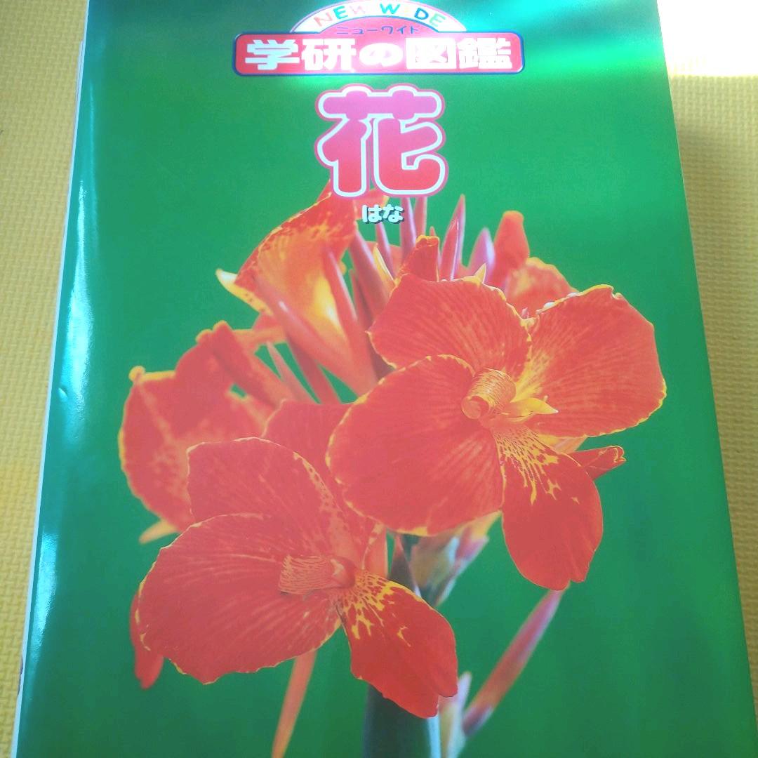 学研 学研の図鑑 恐竜 動物 植物 花 水の生き物 図鑑 ニューワイド