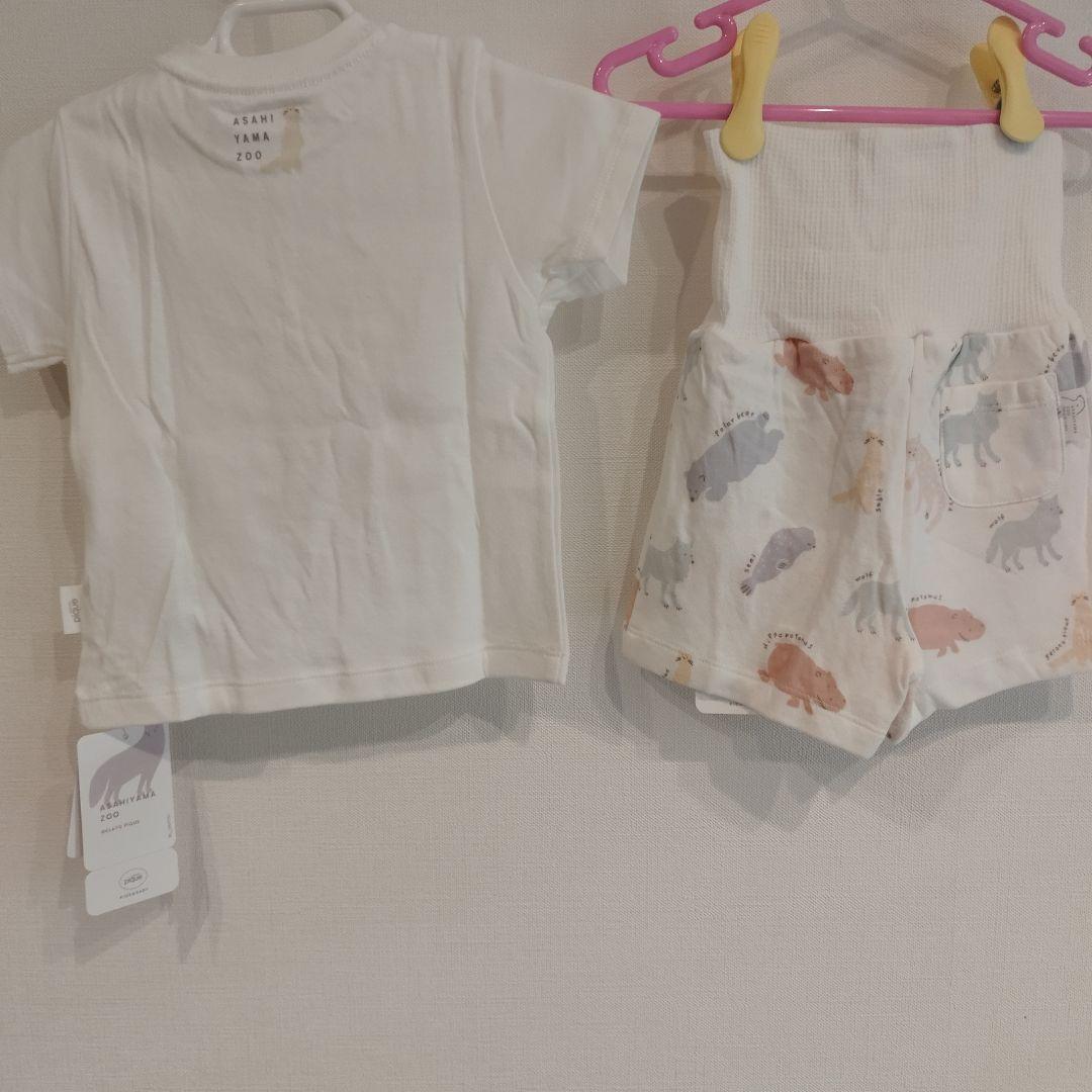 【70〜80】ジェラートピケ　旭山動物園　Tシャツ　パンツ　2点セット