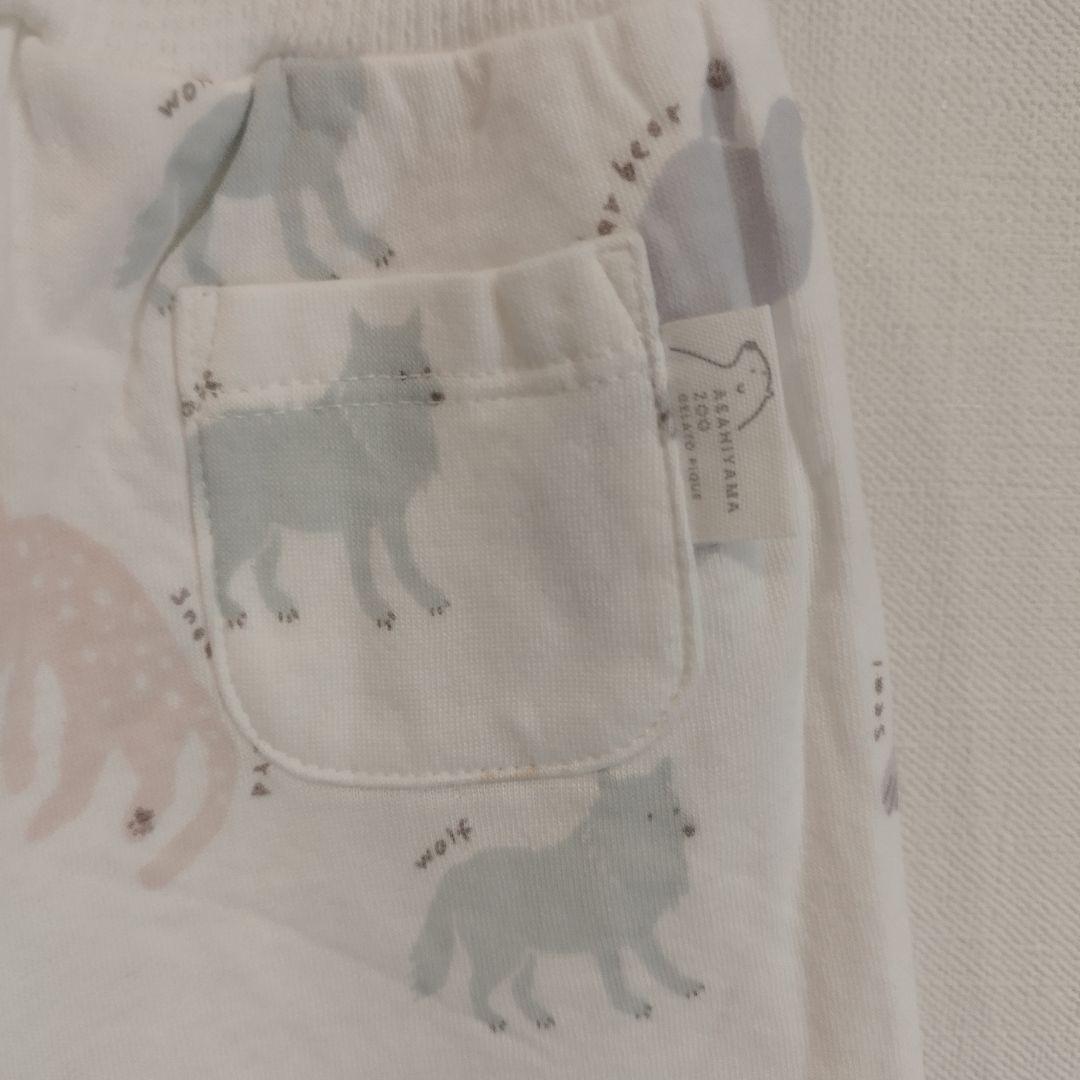 【70〜80】ジェラートピケ　旭山動物園　Tシャツ　パンツ　2点セット