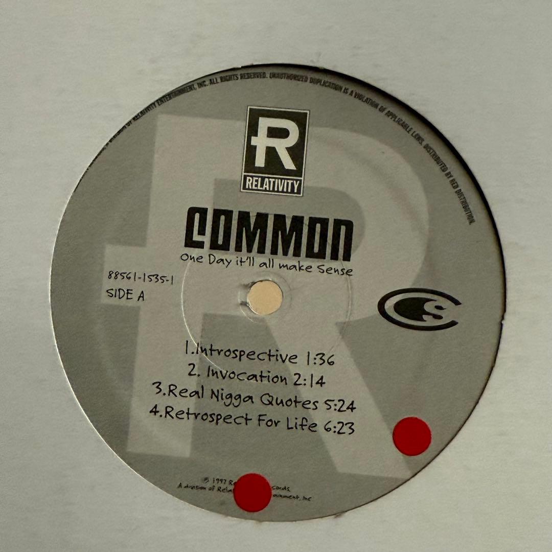 Common One Day It'll All Make Sense レコード
