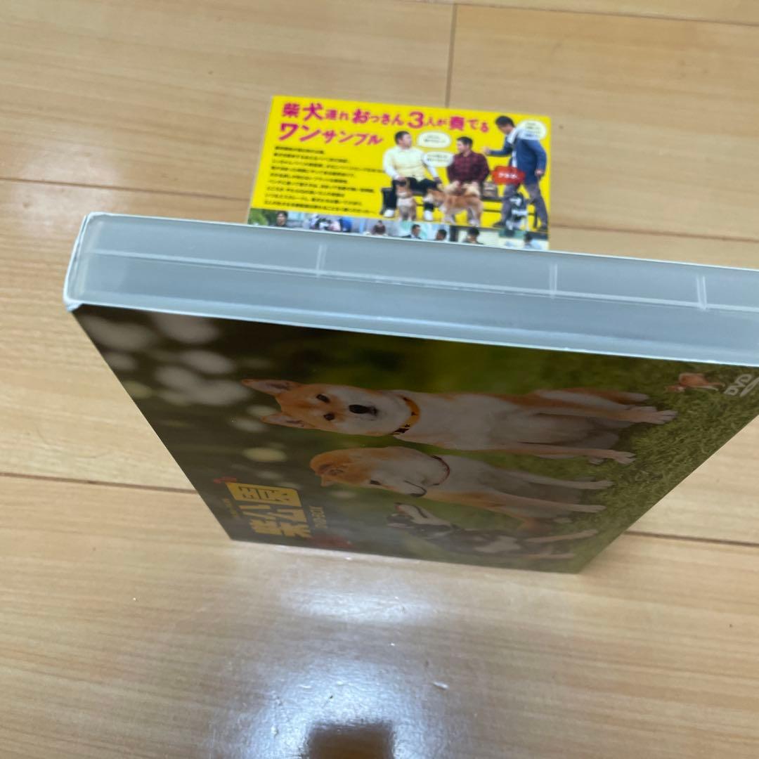 柴公園　ドラマ・劇場版　DVD BOXセット