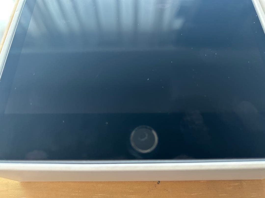 ipad mini 5 256GB セルラー スペースグレイ