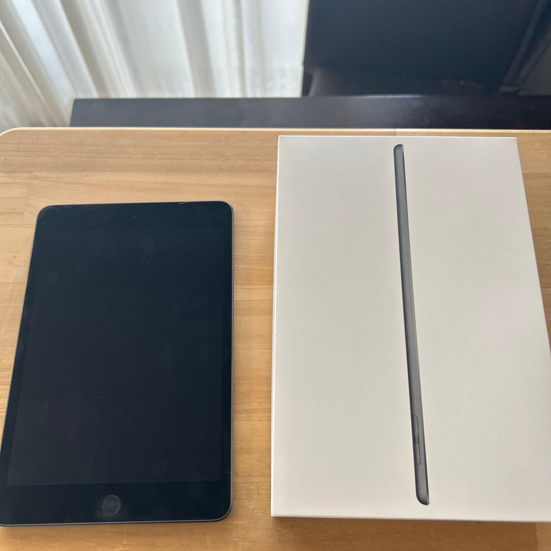 ipad mini 5 256GB セルラー スペースグレイ