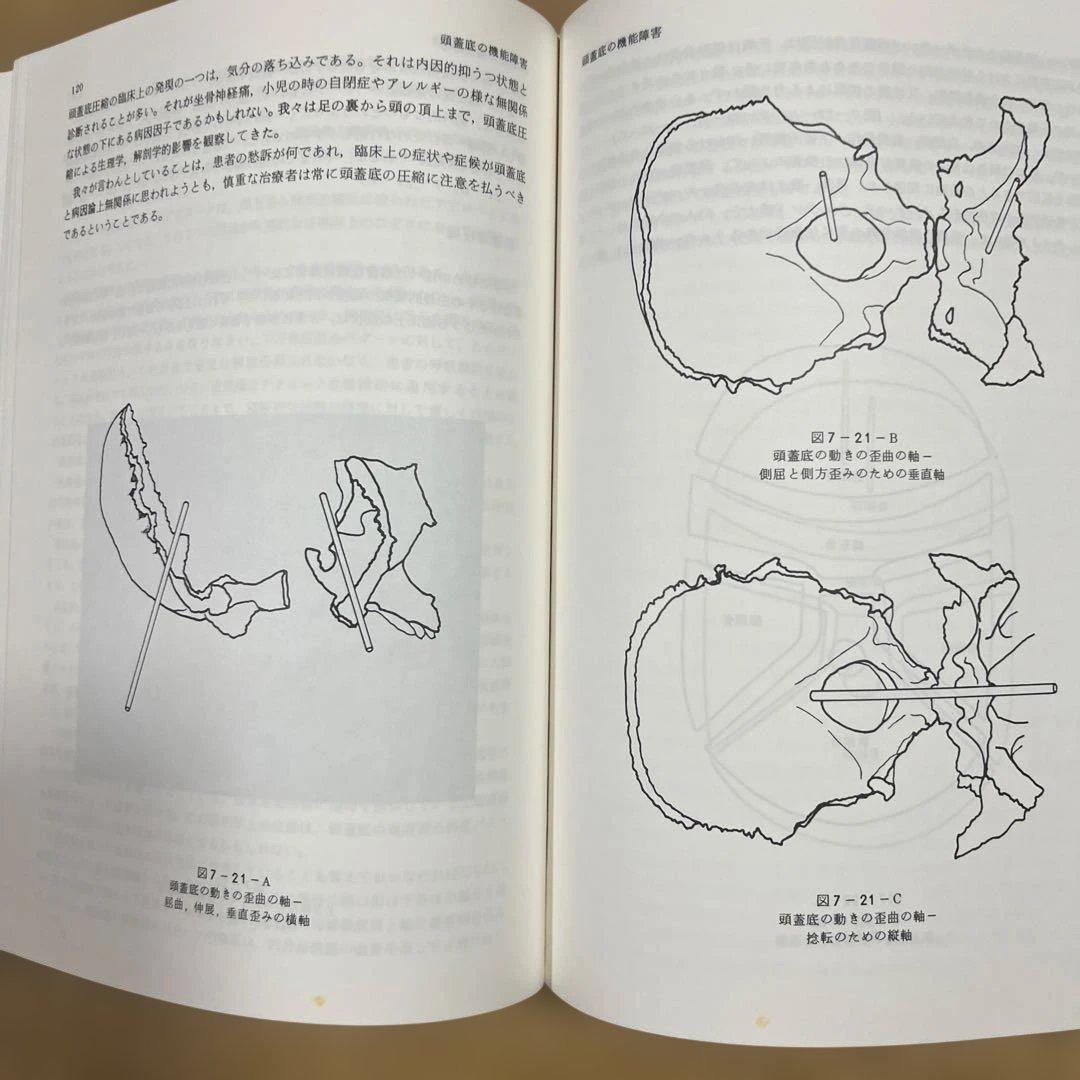 Craniosacral Therapy 頭蓋仙骨治療まとめて2冊上下巻