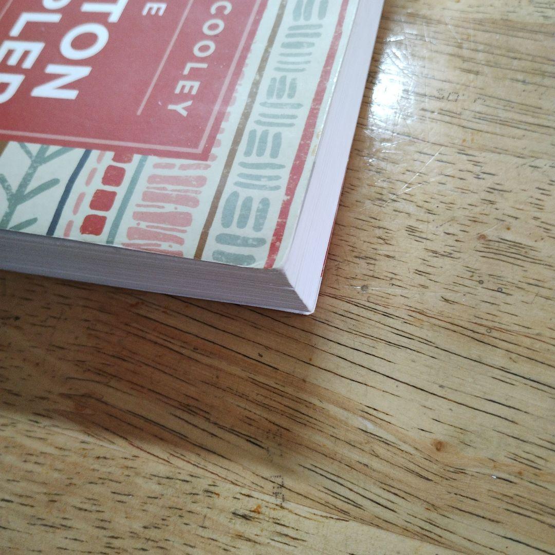洋書 the norton sampler  tenth edition