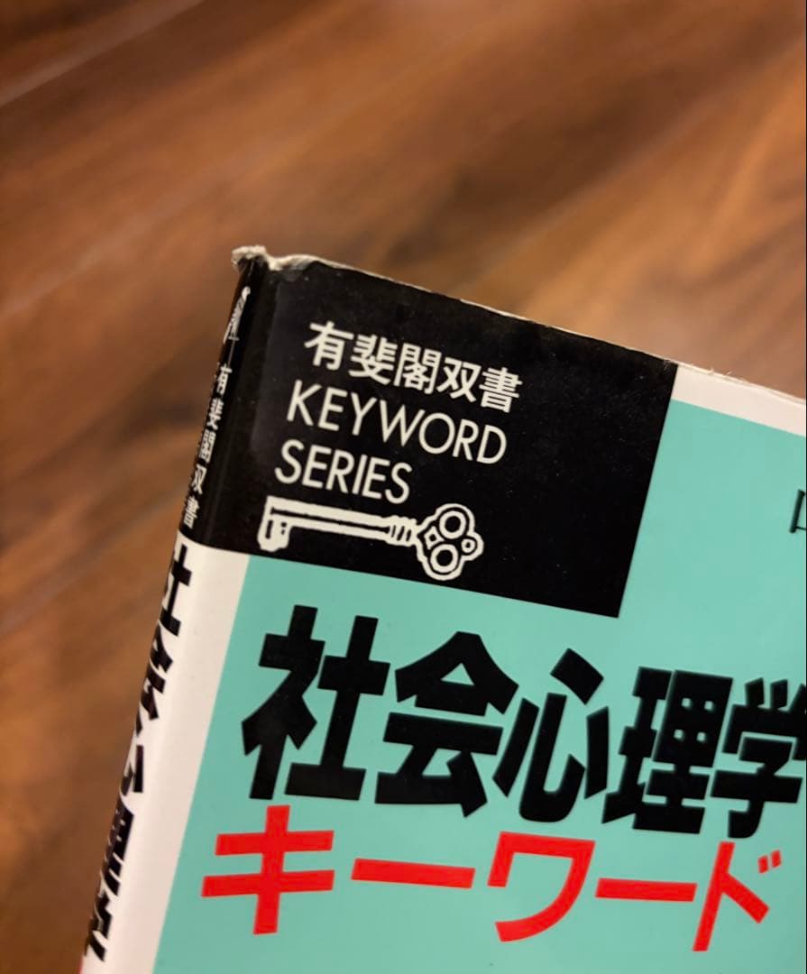 大学教科書まとめ売り10冊 英文学 社会心理学 西洋絵画史 国際紛争など