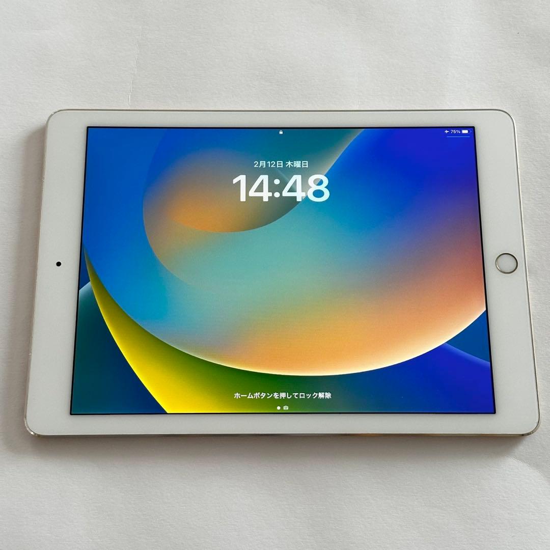 亜*君様 iPad Pro 9.7インチ Wi-Fi + Cellulaモデル