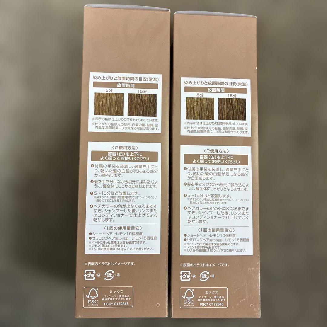 ヘアボーテエクラ　ボタニカル　エアカラーフォームEX ライトブラウン2個セット
