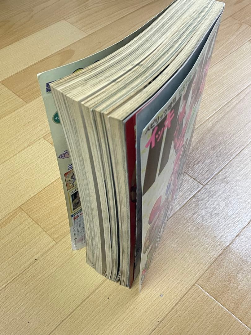 スピリッツ増刊 IKKI 月刊 イッキ 2001年5号