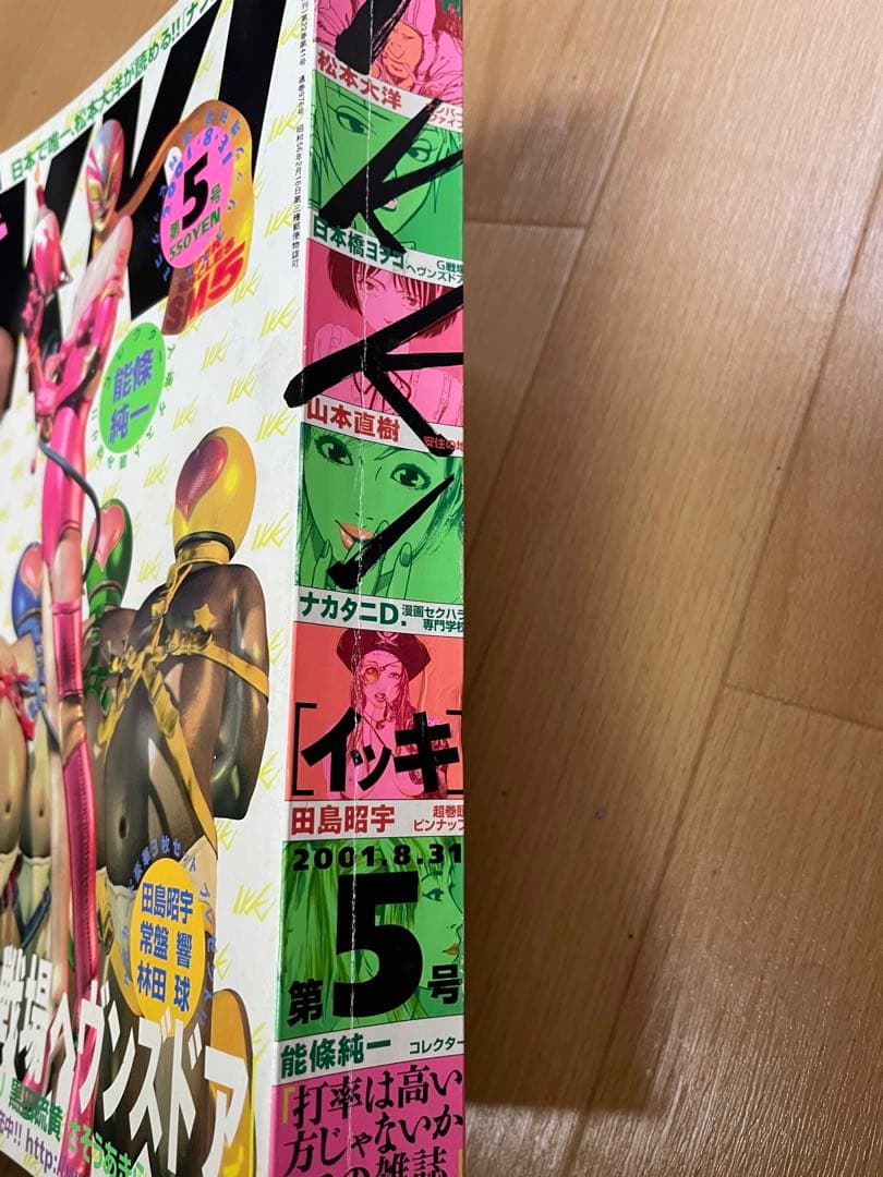 スピリッツ増刊 IKKI 月刊 イッキ 2001年5号