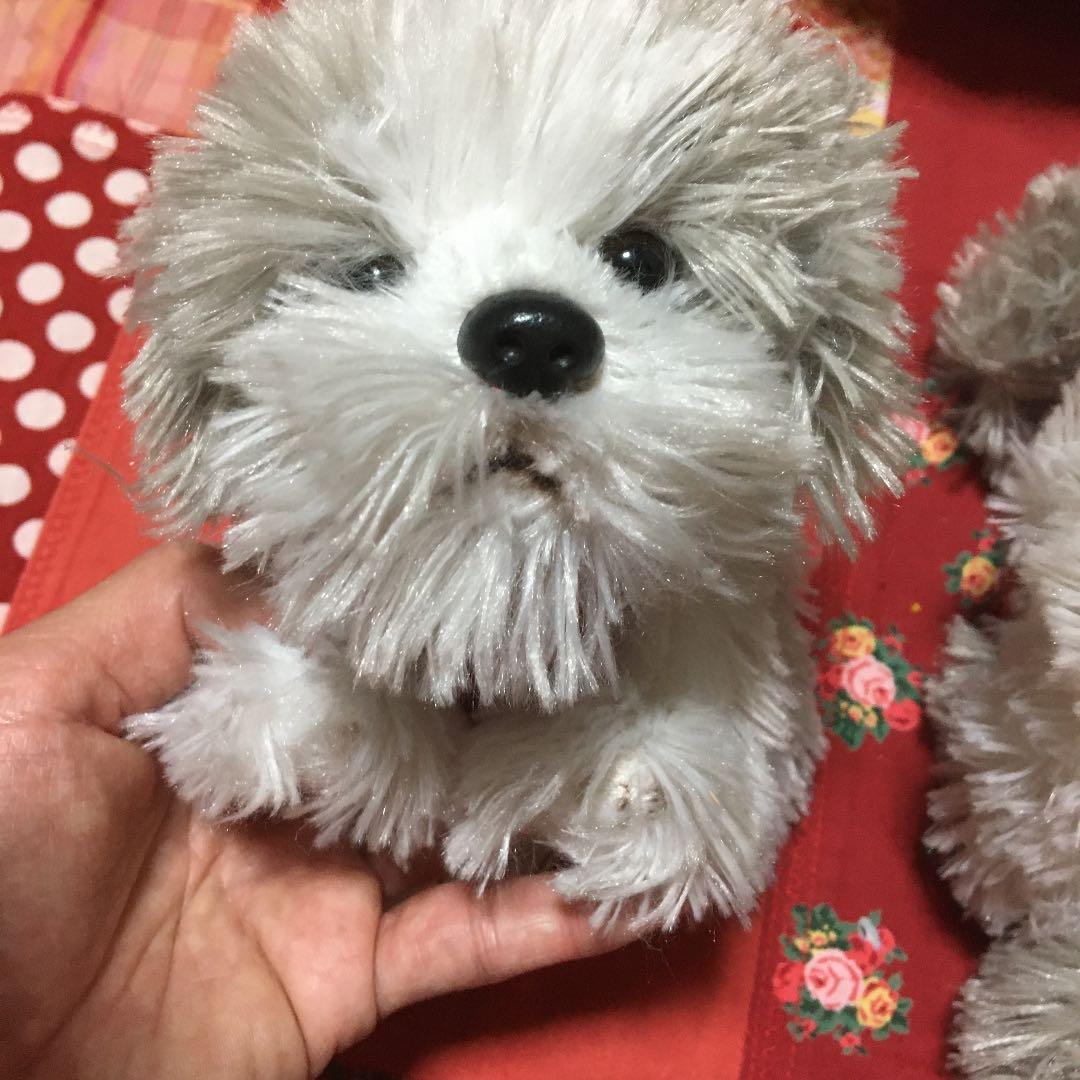 ぬいぐるみ犬　モフモフ　子犬　クタクタ　犬　シーズー　犬　わんちゃんペア　レトロ