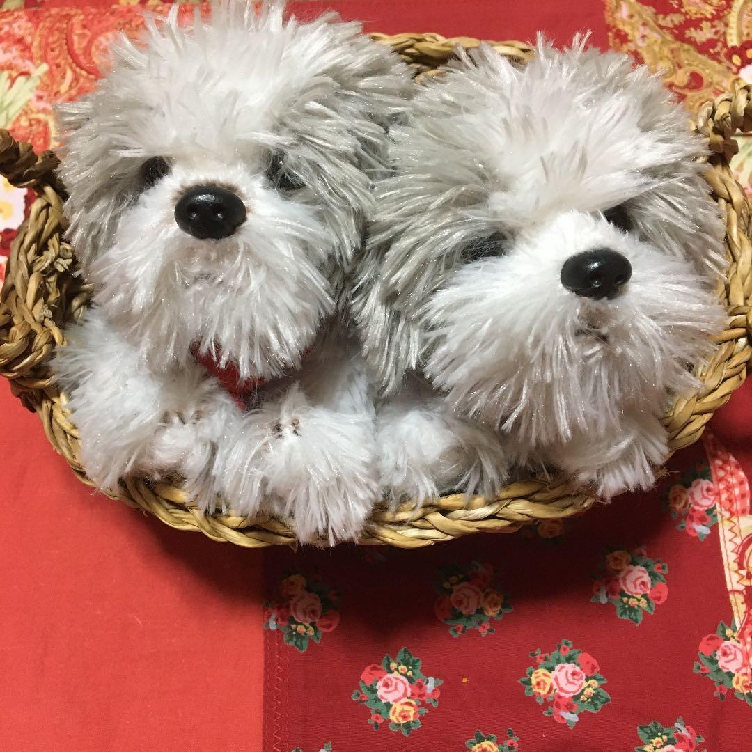 ぬいぐるみ犬　モフモフ　子犬　クタクタ　犬　シーズー　犬　わんちゃんペア　レトロ
