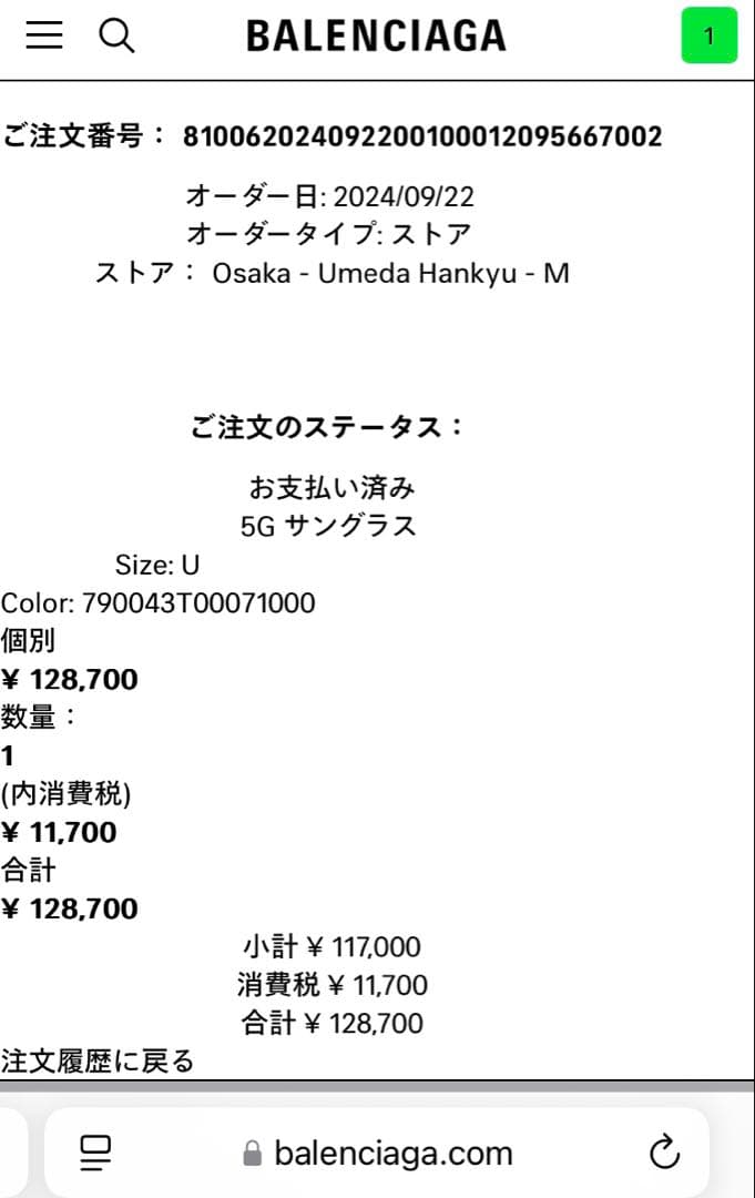 BALENCIAGA 5G サングラス