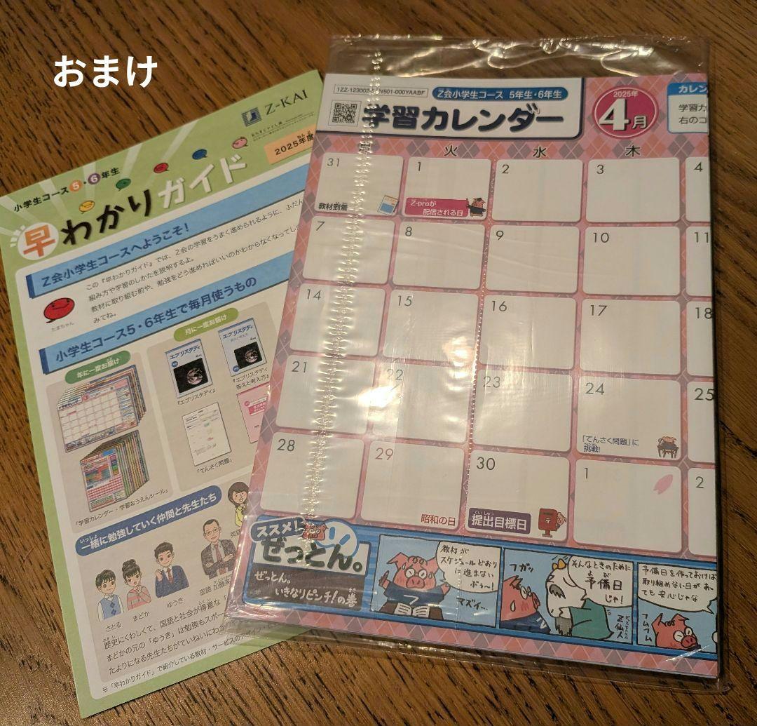 Z会　小６　算数＆国語 2025年4月-2026年2月 最新版　1年分