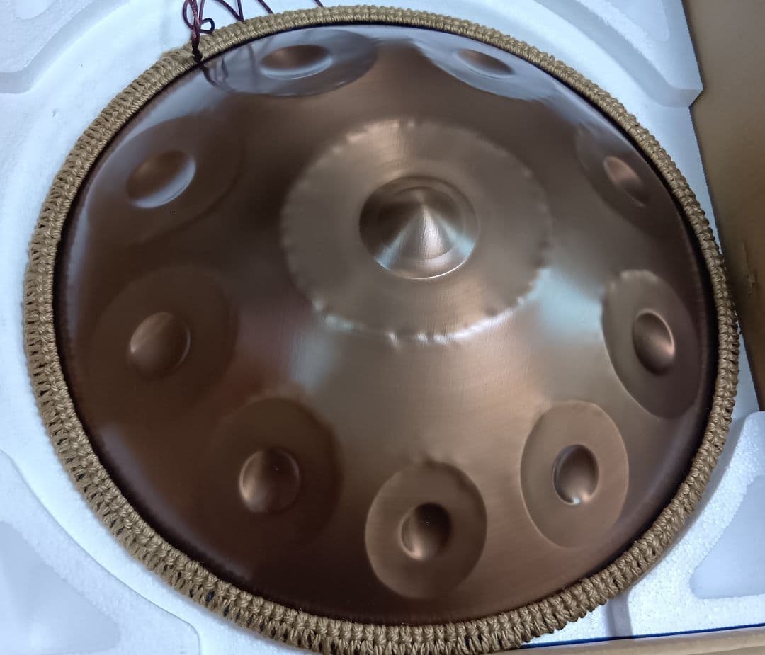 ぺんぎん　ハンドパン　49センチ　10音　Dマイナー　A＝432Hz