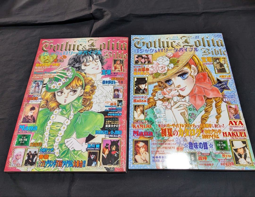 Gothic & Lolita Bible ゴスロリバイブル20〜29 10冊