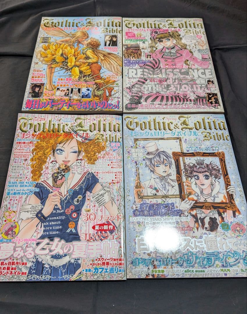 Gothic & Lolita Bible ゴスロリバイブル20〜29 10冊