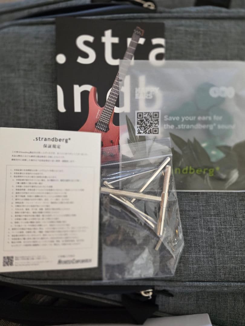 ギター Strandberg Boden Essential6 / Astro Dust