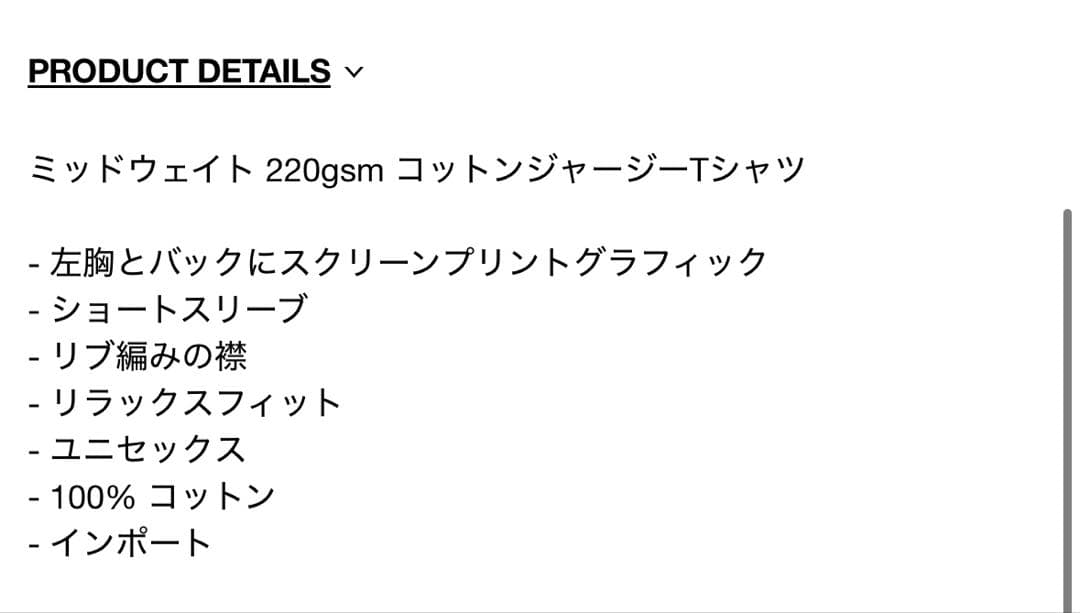 新品未使用 STUSSY PICKUP TEE NAVY XL