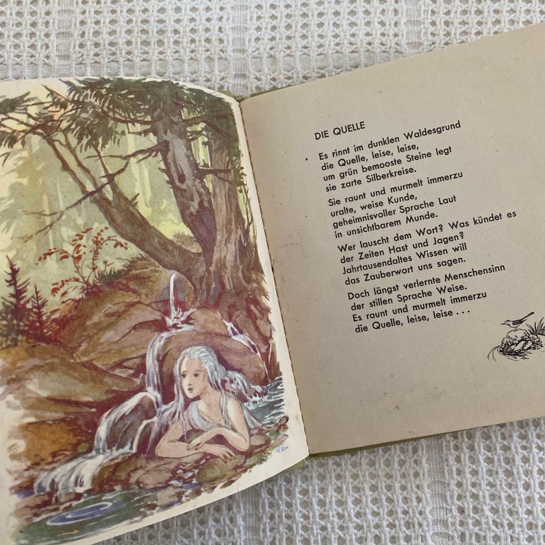 【レア】Nora Scholly ドイツの小さな絵本 森のお話 洋書 古書