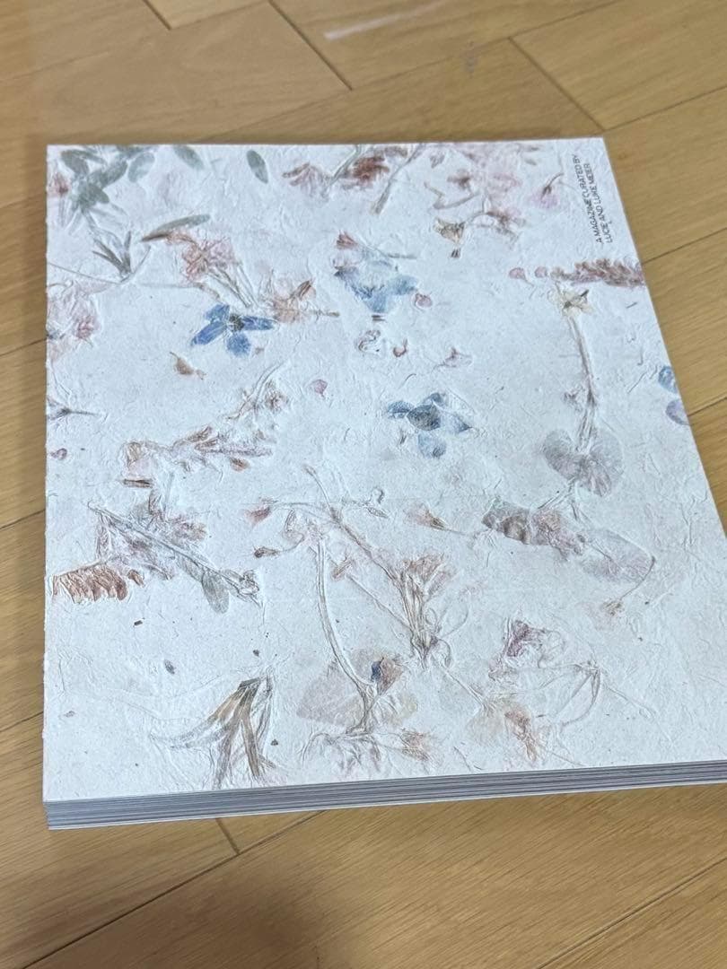 A Magazine #21 - Lucie and Luke Meier 新品