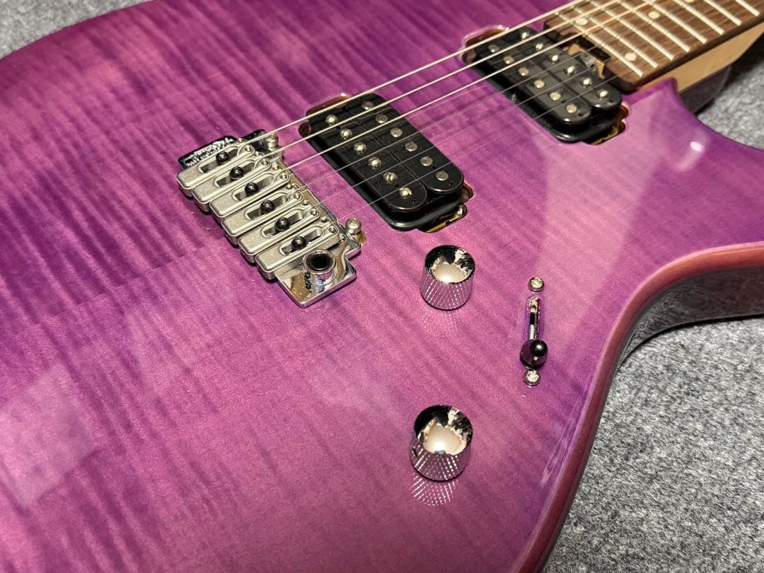 FERNANDES / NTG-LTD ’24 STP