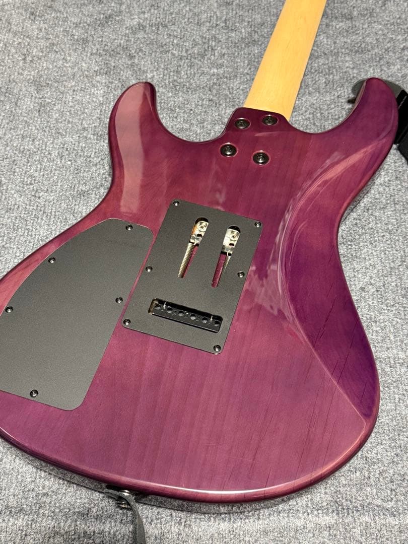 FERNANDES / NTG-LTD ’24 STP