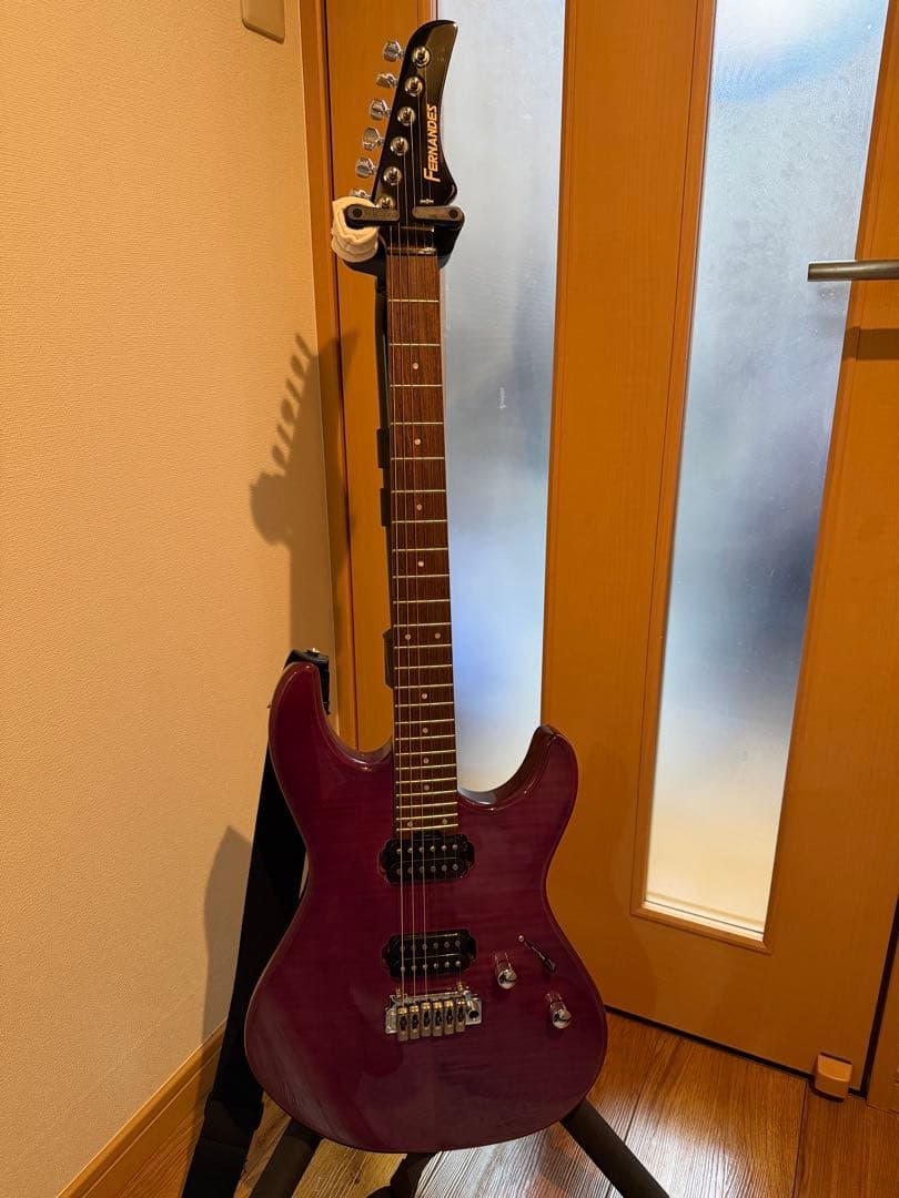 FERNANDES / NTG-LTD ’24 STP