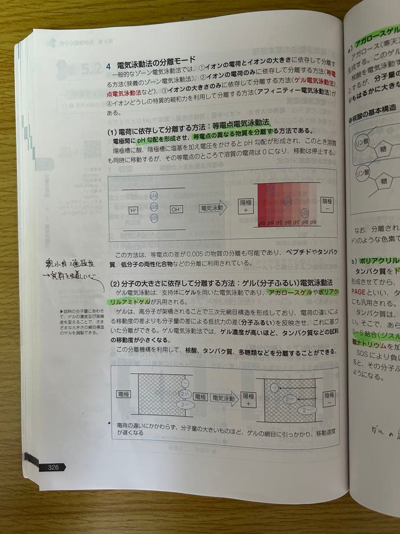 111回　薬剤師国家試験　青本・青問セット