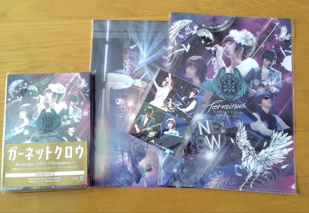 GARNET CROW livescope 2013～初回特典全部セット