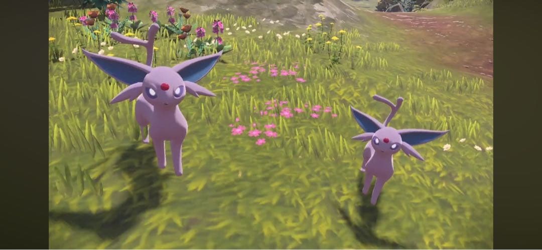 まるで等身大 ポケモン ぬいぐるみ エーフィ ポケットモンスター 特大 80cm