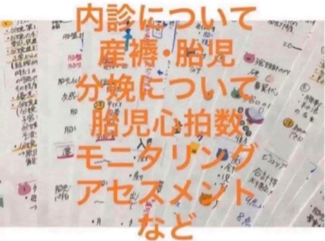 助産師・助産学生 実習乗り切りセットポケットサイズ　助産師国家試験　対策