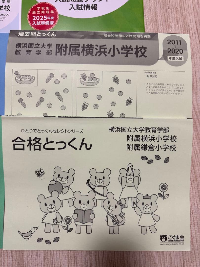 即日・翌日発送！横浜国立大学附属横浜小学校　問題集　過去問題