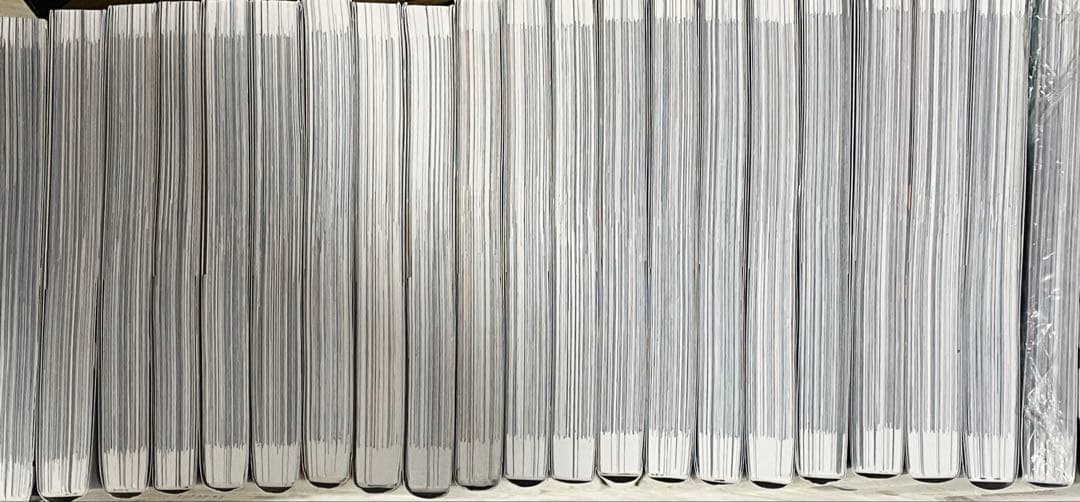 俺だけレベルアップな件　漫画 22巻
