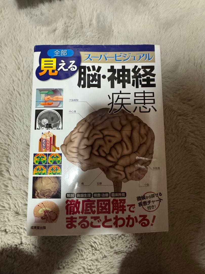 5冊セット 全部見える呼吸器疾患 消化器疾患 循環器疾患 脳神経疾患　整形外科