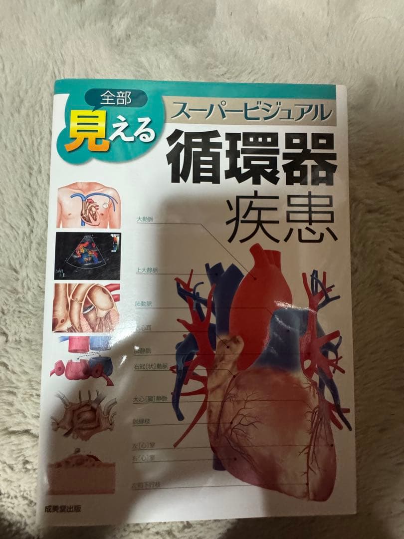 5冊セット 全部見える呼吸器疾患 消化器疾患 循環器疾患 脳神経疾患　整形外科