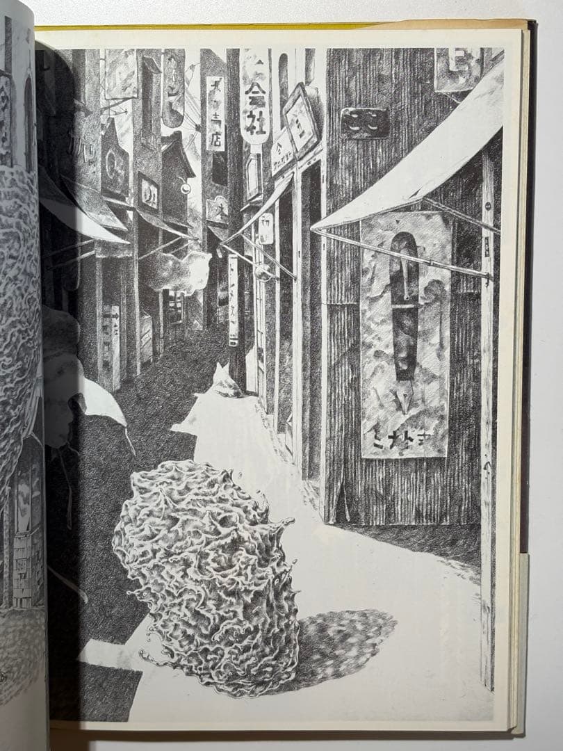 【希少サイン本】片山健画集『迷子の独楽』北宋社 1978年 初版 署名入り 希少