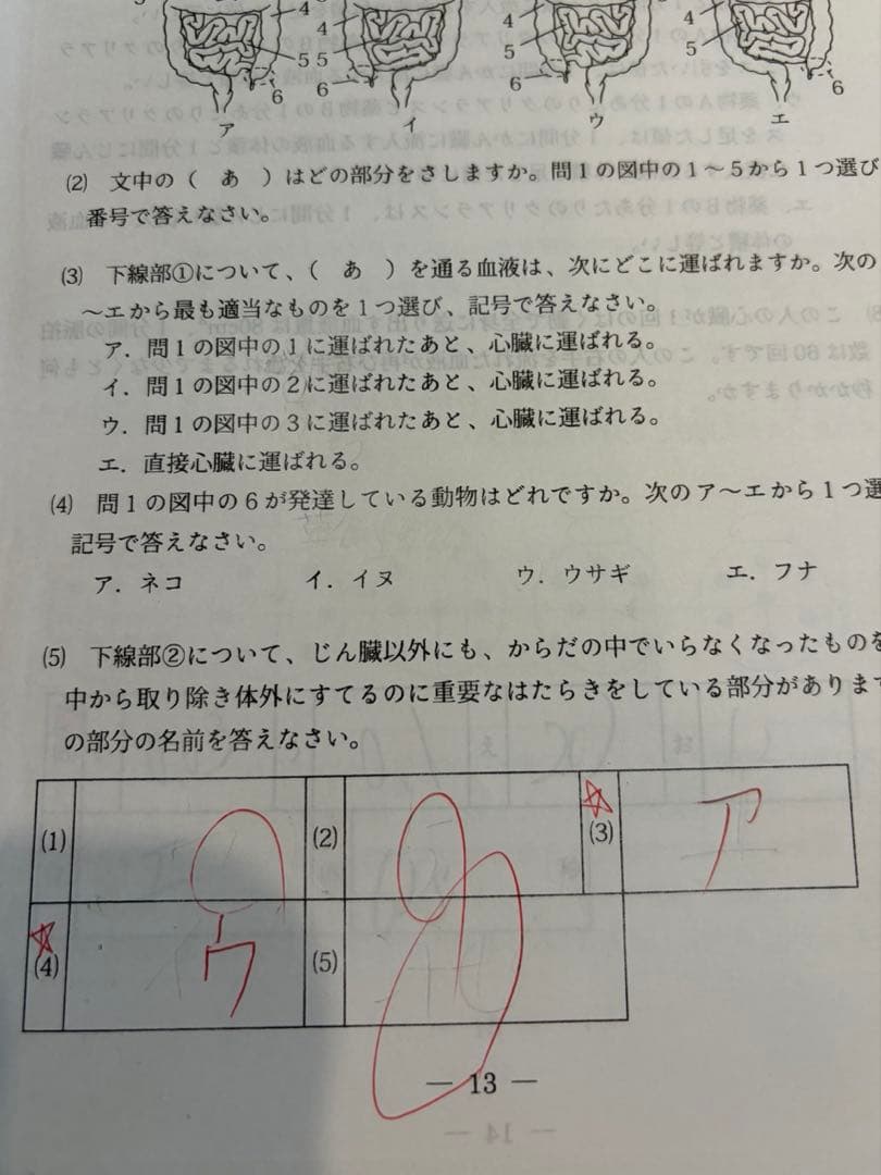 浜学園　‘24年度　日曜特訓前期　〈灘コース〉 算数国語理科3科目フルセット
