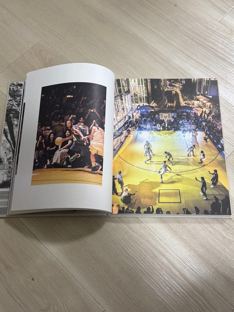 アート・デザイン・音楽 Ballaholic basketball photos book