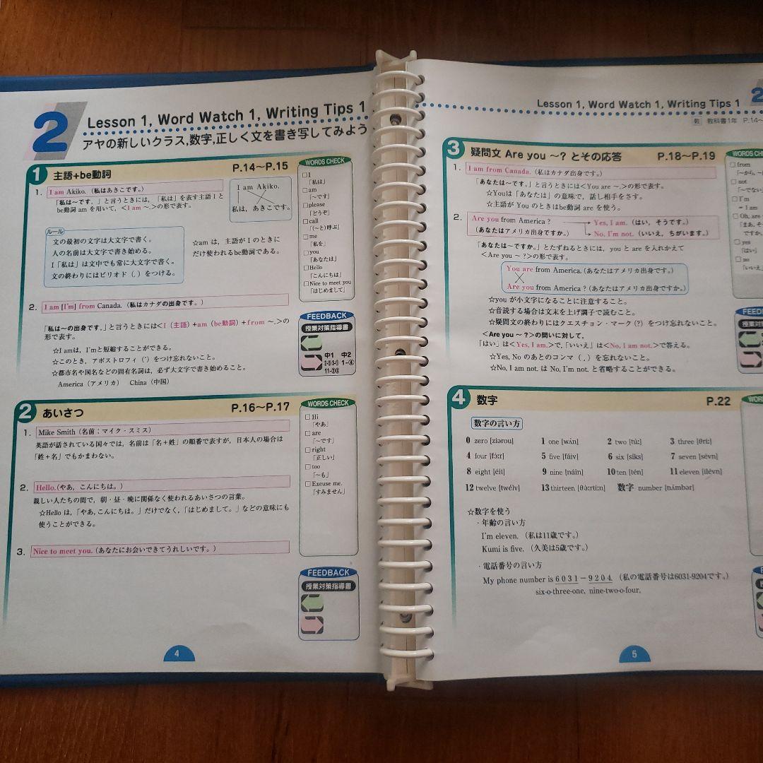 中学定期テスト対策 内申対策 受験対策◇アルファヴィクトリー生徒指導書DVD付き