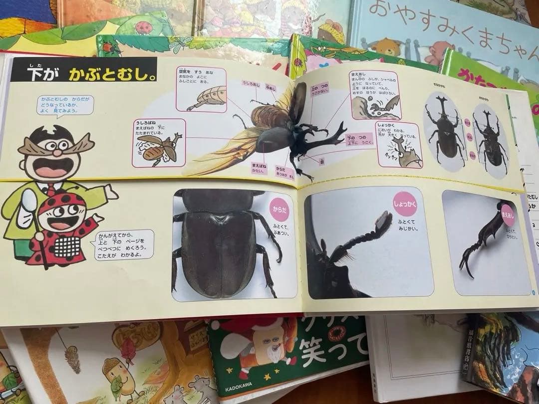 絵本26冊　まとめ売り