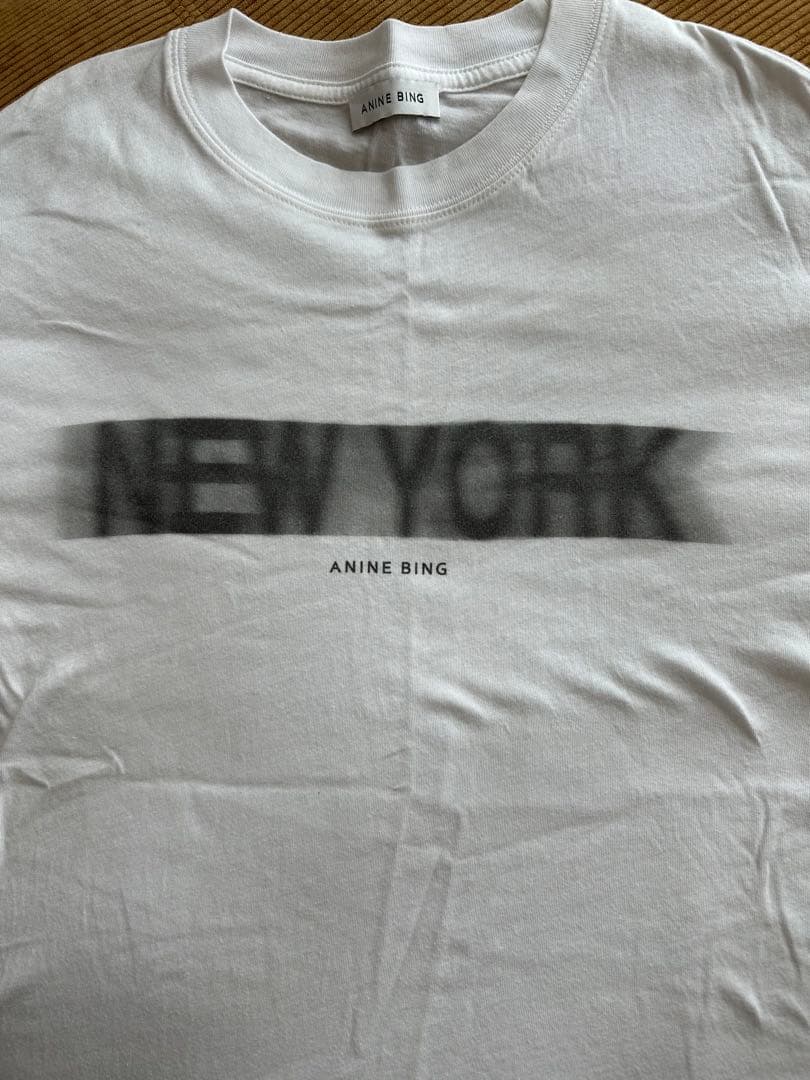 お値下げ❗️ドゥーズィエムクラス　アニンビン　Tシャツ