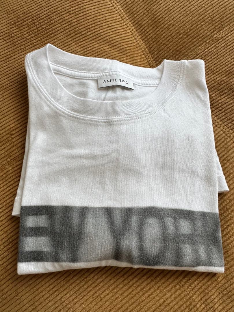 お値下げ❗️ドゥーズィエムクラス　アニンビン　Tシャツ